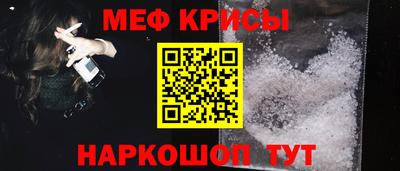 стаф Кингисепп