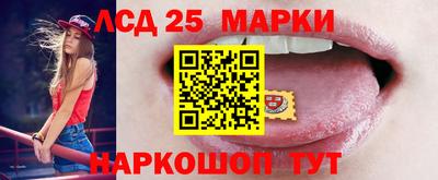 стаф Кингисепп