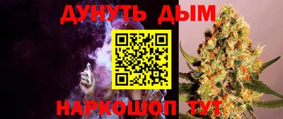 стаф Кингисепп