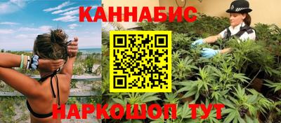 стаф Кингисепп
