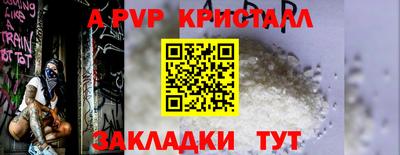 стаф Кингисепп