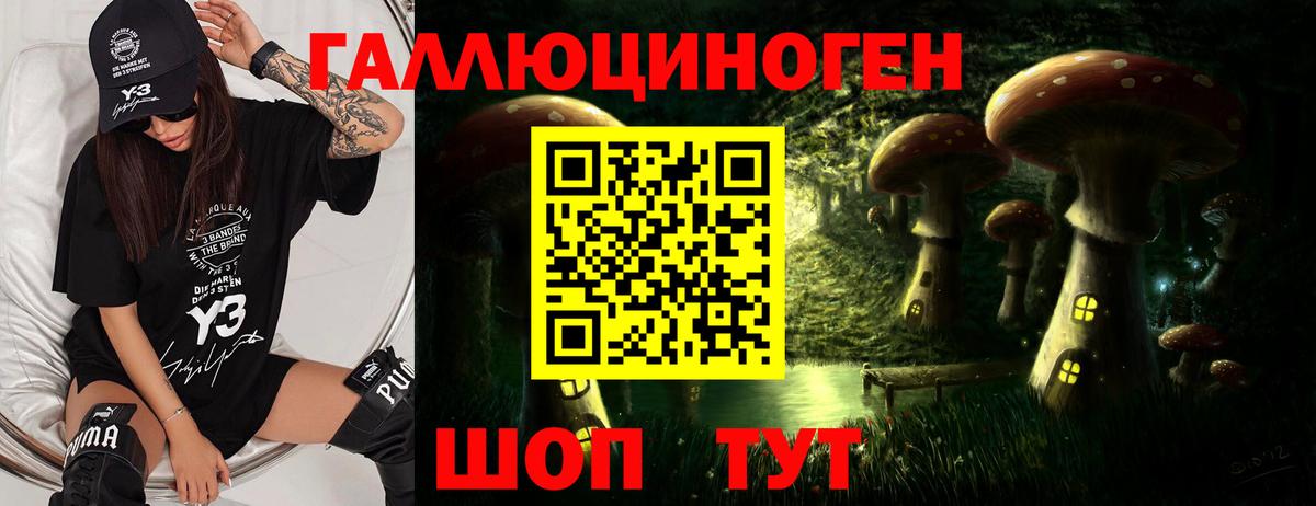 что такое наркотик  Вход с VPN  Электросталь  Псилоцибиновые грибы MAGIC MUSHROOMS  Псилоцибиновые грибы MAGIC MUSHROOMS 